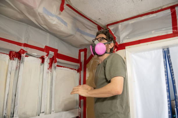 Asbestos and Lead Testing During Mold Inspection in Lyons, CO
