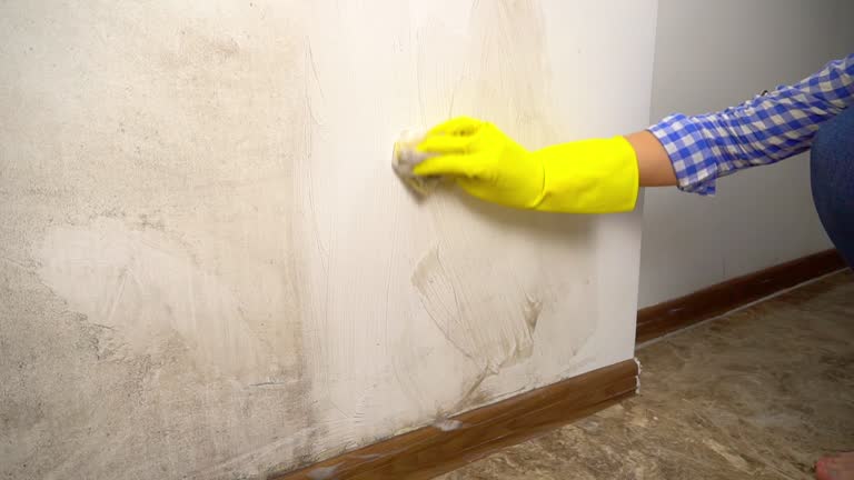 Best Emergency Mold Remediation  in Lyons, CO