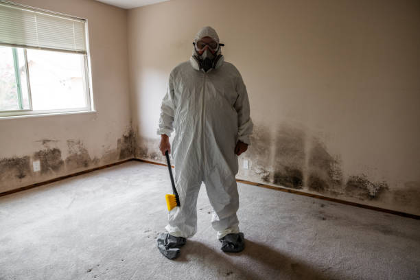 Best Post-Construction Mold Inspection  in Lyons, CO